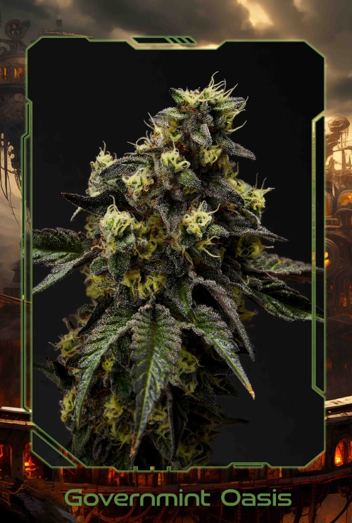 Realm-Fuel-Governmint-Oasis-Fresh-Cut_01